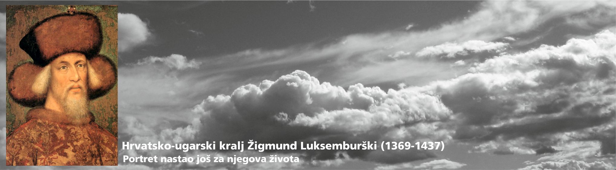 zigmund_1433